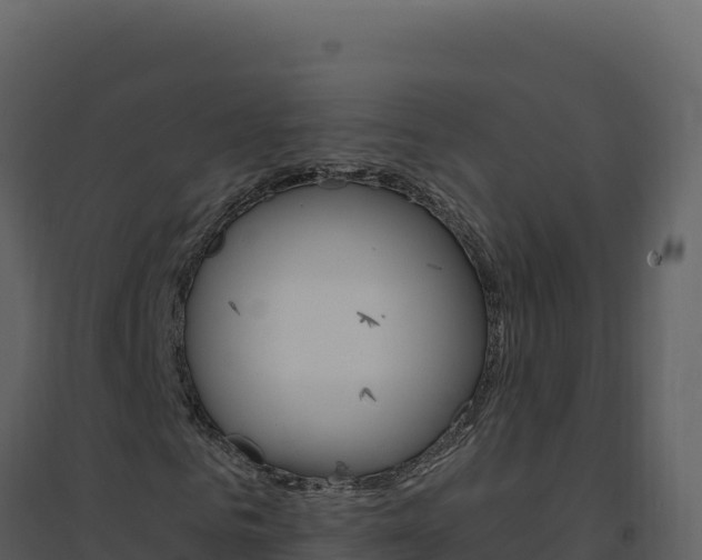 X0000094810961200711161000