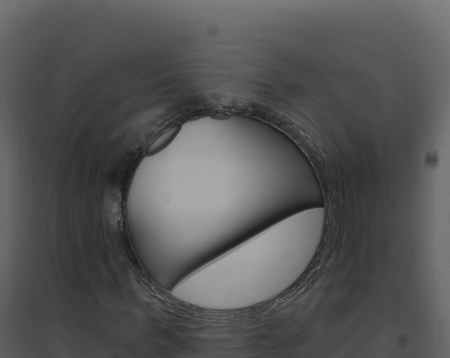 X0000094810963200711161000