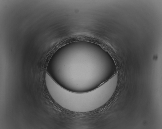 X0000094810965200711161000