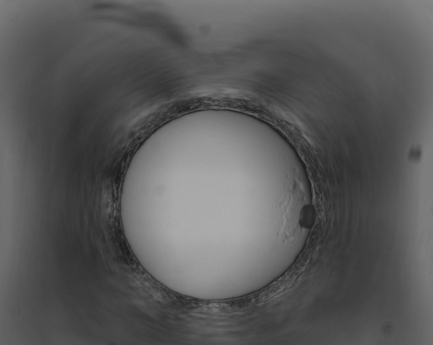 X0000094810966200711161000