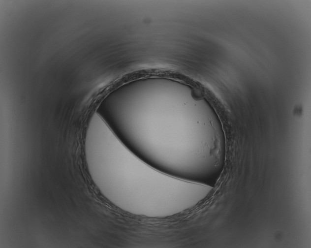 X0000094810967200711161000