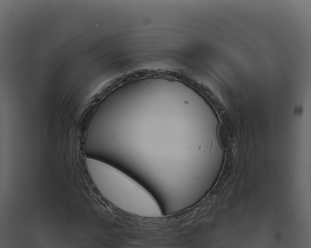X0000094810968200711161000