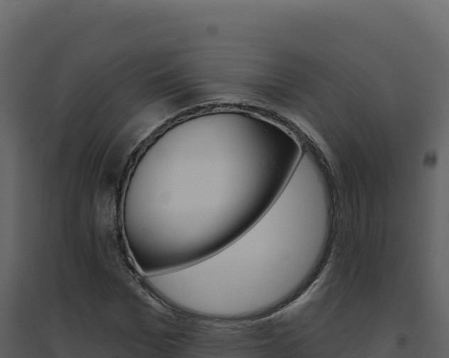X0000094810969200711161000