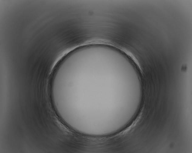 X0000094810973200711161000