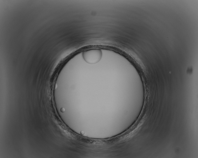 X0000094810974200711161000