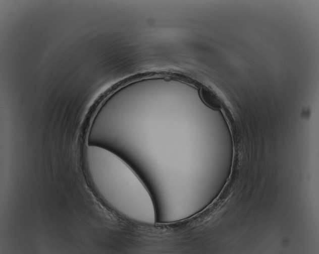 X0000094810975200711161000