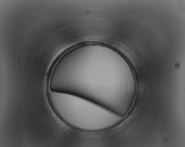 X0000094810976200711161000