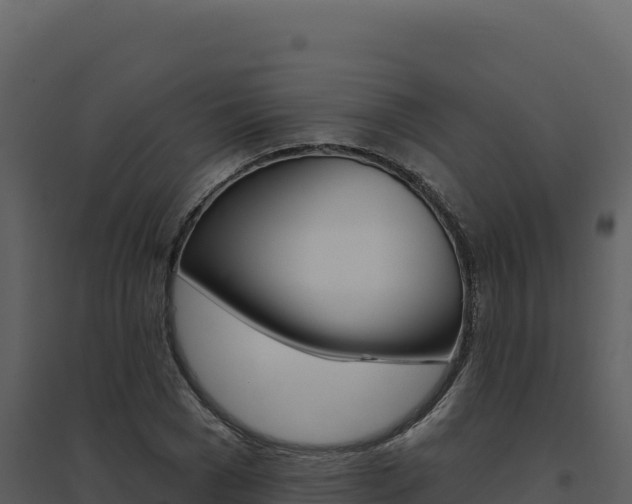 X0000094810977200711161000