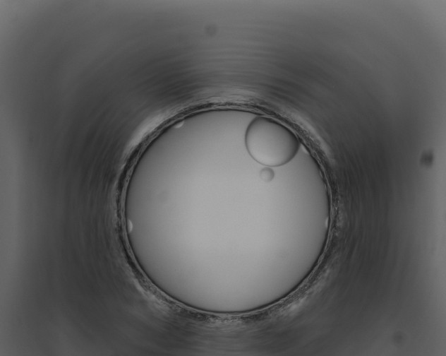 X0000094810978200711161000