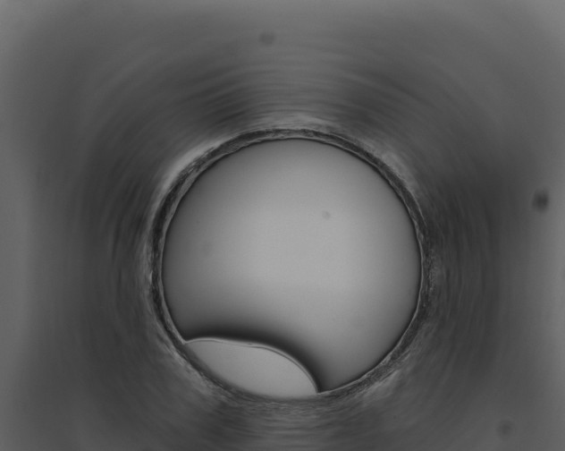 X0000094810979200711161000