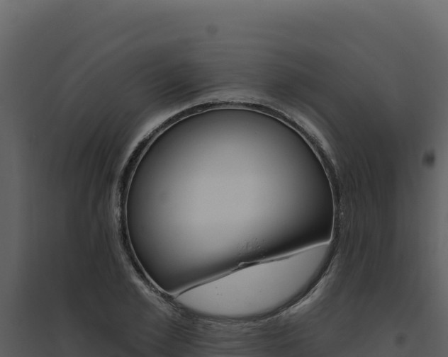 X0000094810981200711161000