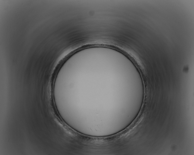 X0000094810982200711161000