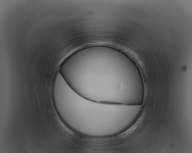 X0000094810985200711161000