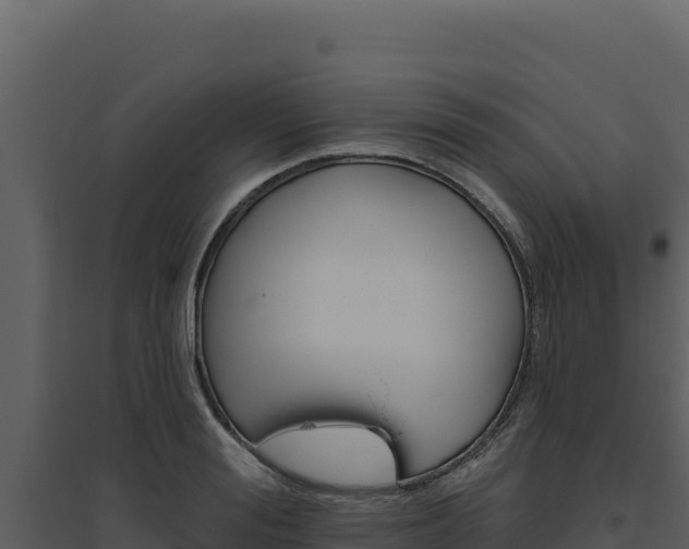 X0000094810988200711161000
