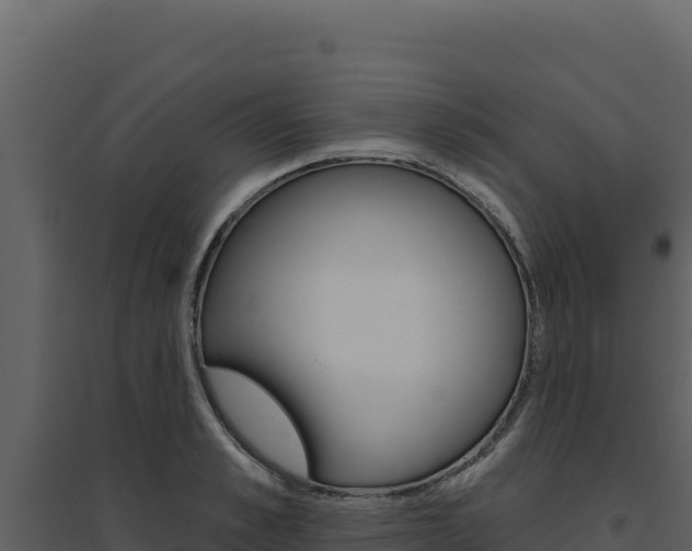 X0000094810989200711161000