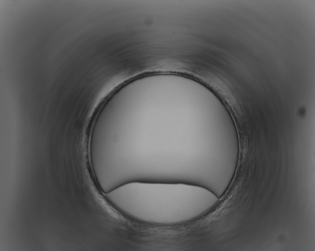 X0000094810990200711161000
