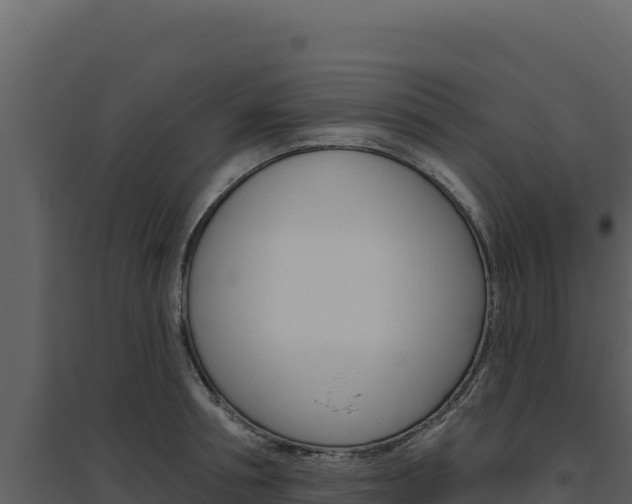 X0000094810994200711161000