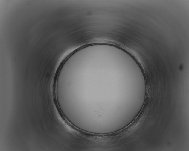 X0000094810995200711161000