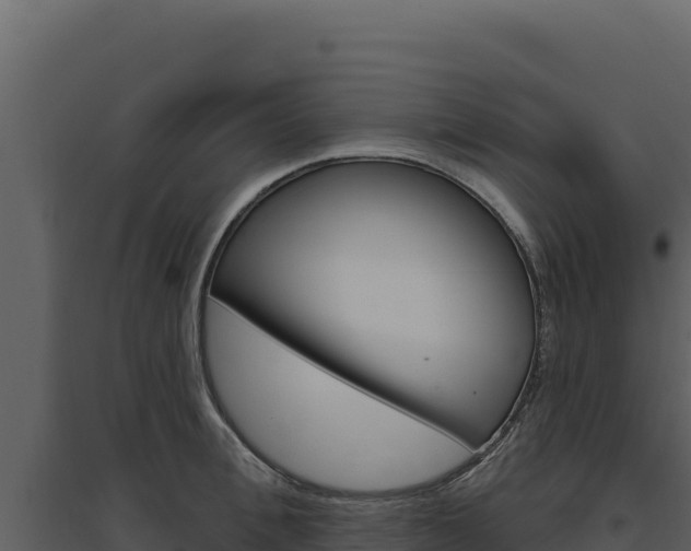 X0000094810996200711161000