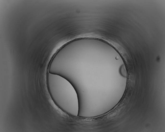 X0000094810998200711161000