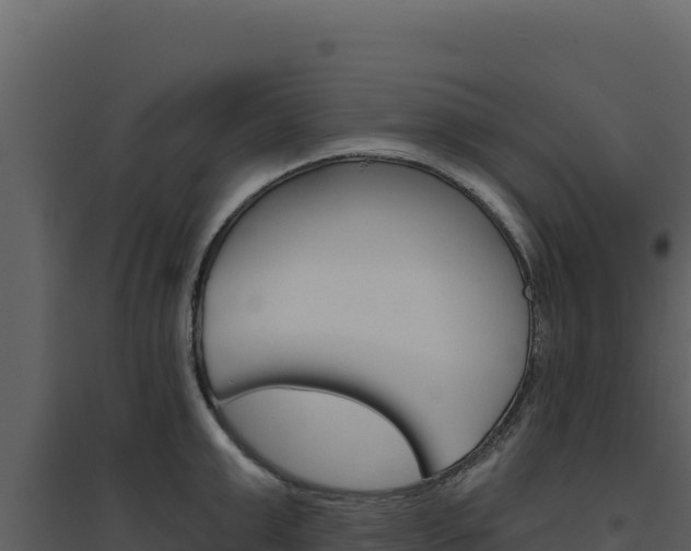 X0000094810999200711161000