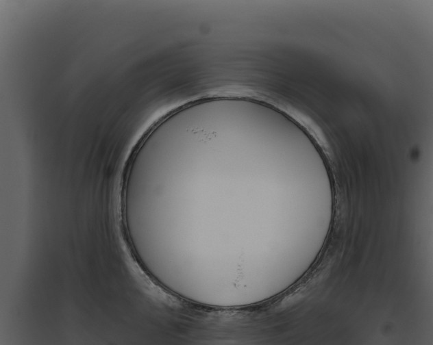 X0000094811000200711161000