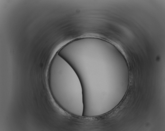 X0000094811003200711161000