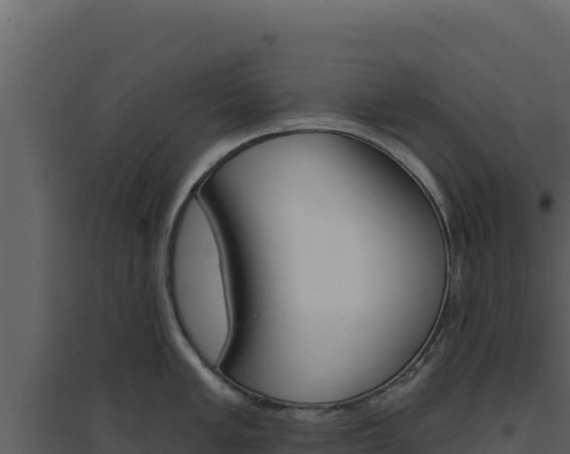 X0000094811005200711161000