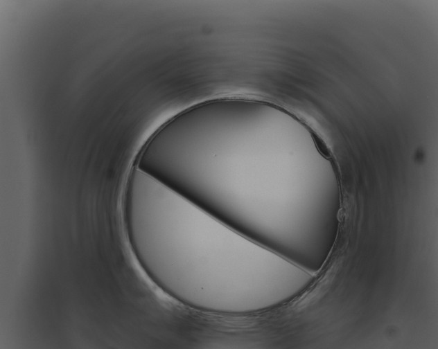 X0000094811007200711160959