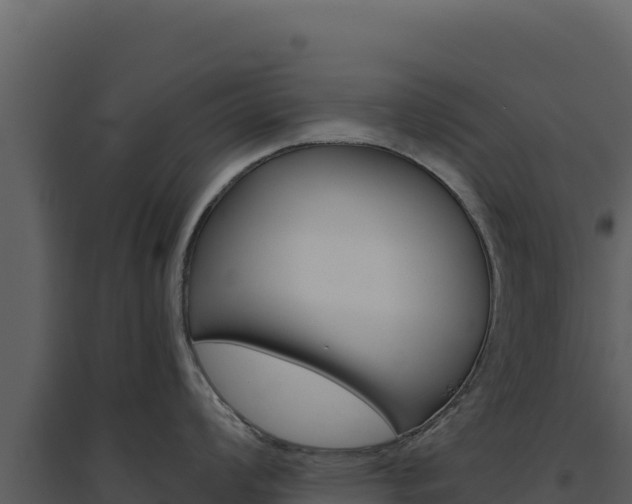 X0000094811008200711160959
