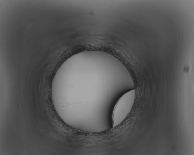 X0000094811009200711160959