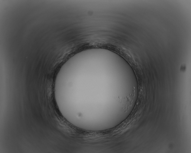 X0000094811012200711160959
