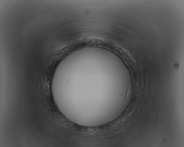 X0000094811013200711160959