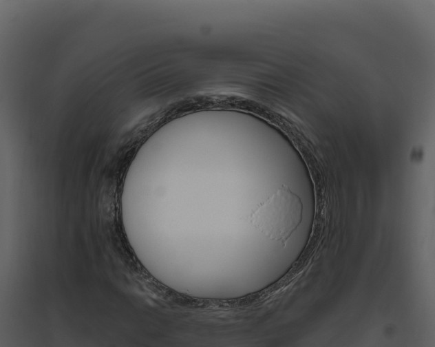 X0000094811014200711160959