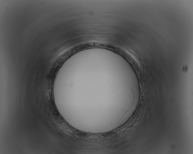 X0000094811015200711160959