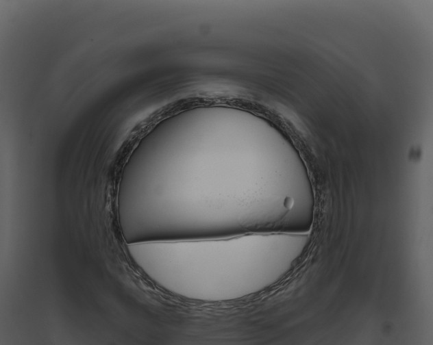 X0000094811016200711160959