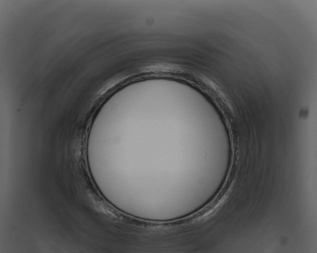 X0000094811017200711160959