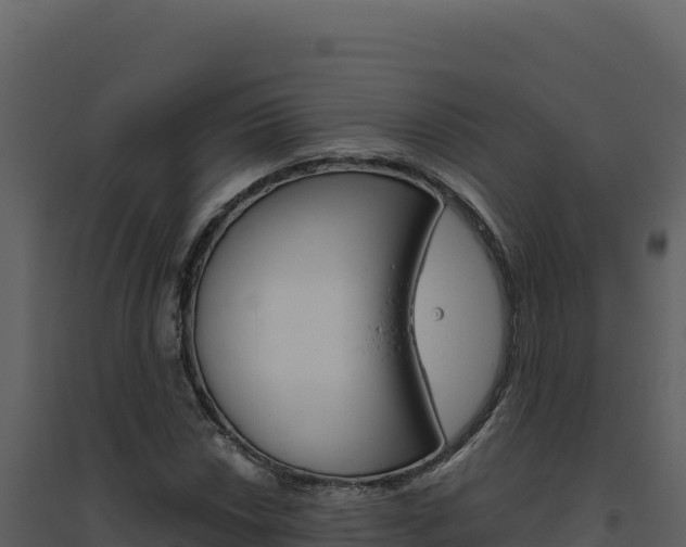 X0000094811018200711160959