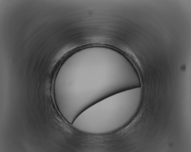 X0000094811019200711160959