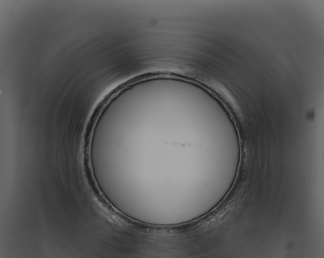 X0000094811020200711160959