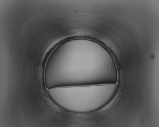 X0000094811021200711160959