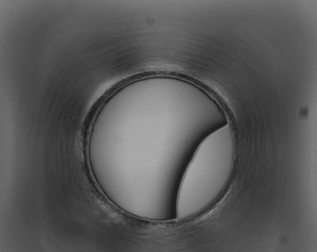 X0000094811022200711160959