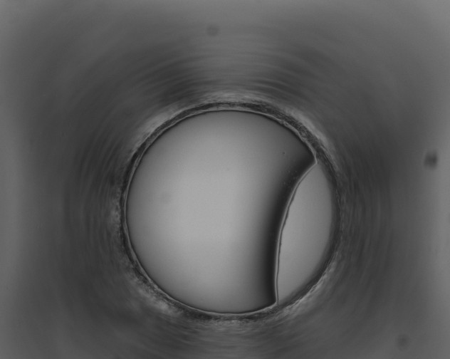 X0000094811025200711160959