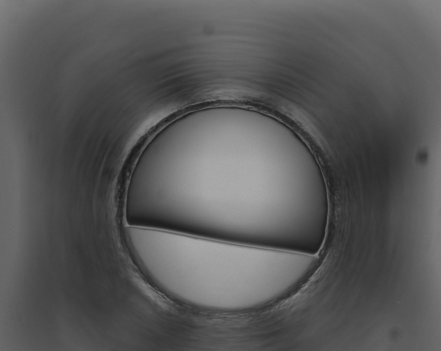 X0000094811026200711160959