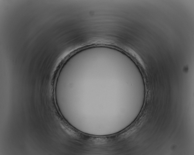 X0000094811027200711160959