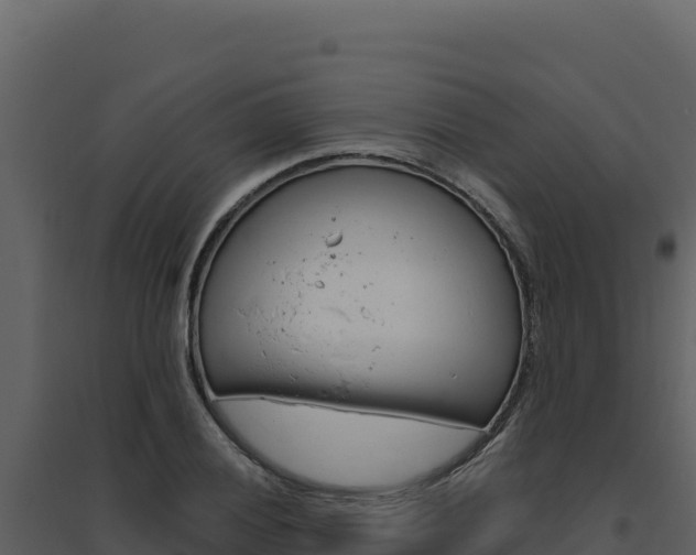 X0000094811028200711160959