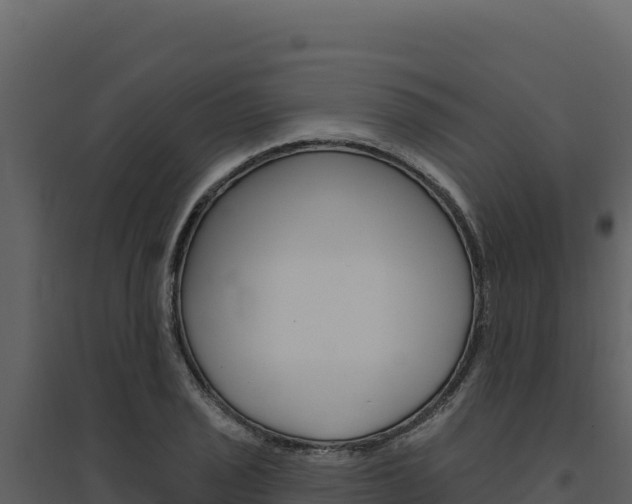 X0000094811029200711160959