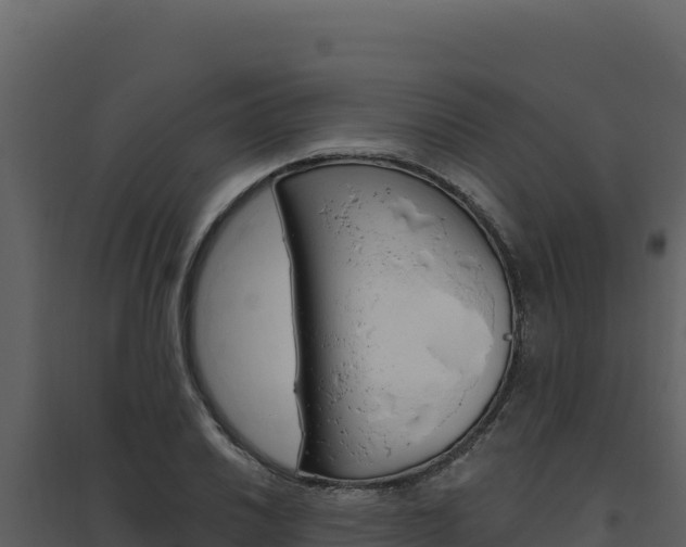 X0000094811030200711160959