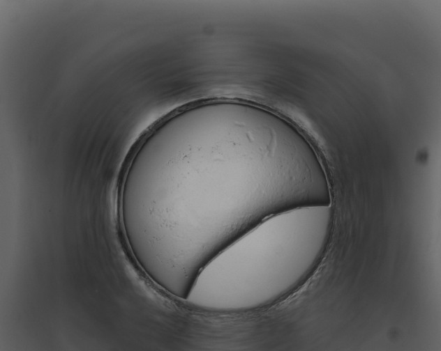X0000094811032200711160959