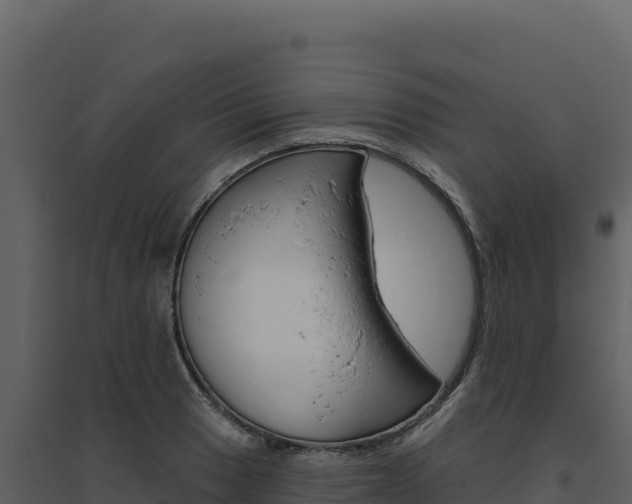 X0000094811033200711160959